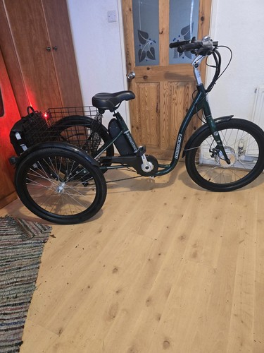 Adults tricycle mission - adults,