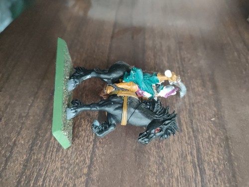 Dark elf rider - rider, champion