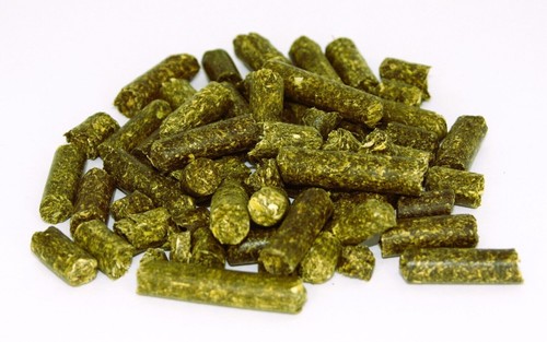 Organic alfalfa meal - alfalfa,