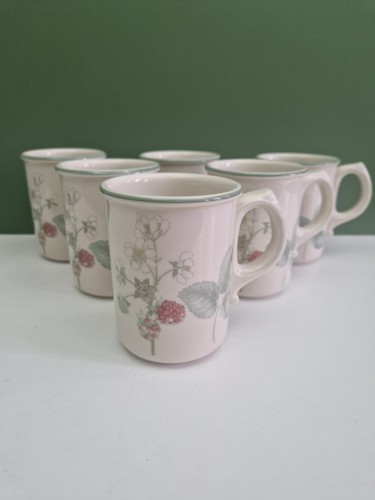 Wedgwood raspberry cane - raspberry,