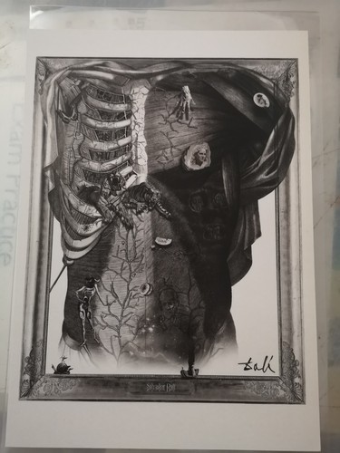 The rebirth salvador dali - rebirth, of
