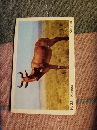 Da12a trade card dandy gum - card,