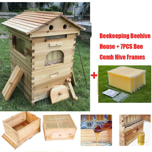 Auto flow honey beehive 7 - flow,