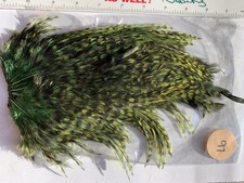 Fly tying cock cape top