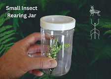 3 x Insect Rearing Jars