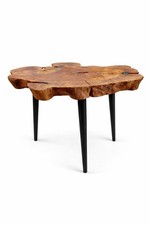 Hundreds Of Years Old Olive