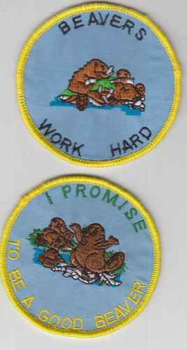 Boy scout badges beavers work - scout,