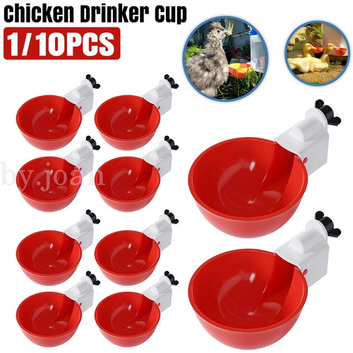 Automatic chicken water cup - automatic,