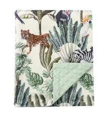 Minky Baby Blanket with Dotted