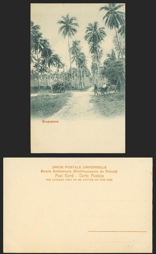 Singapore old postcard - old,