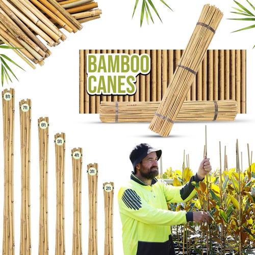 Heavy duty thick bamboo - thick, canes
