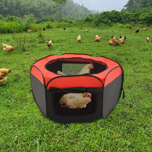 Foldable brooder box for - box, chick