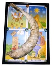 Sheep Horn Framed With Tarot