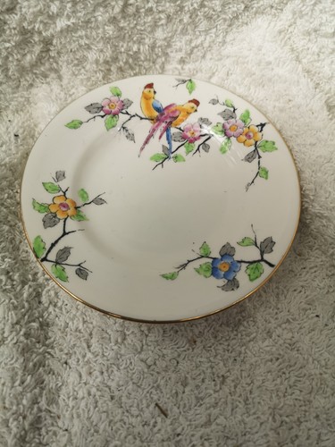 Crown staffordshire gold - staffordshire,