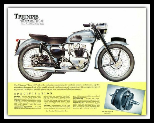 Triumph tiger british - 10", x