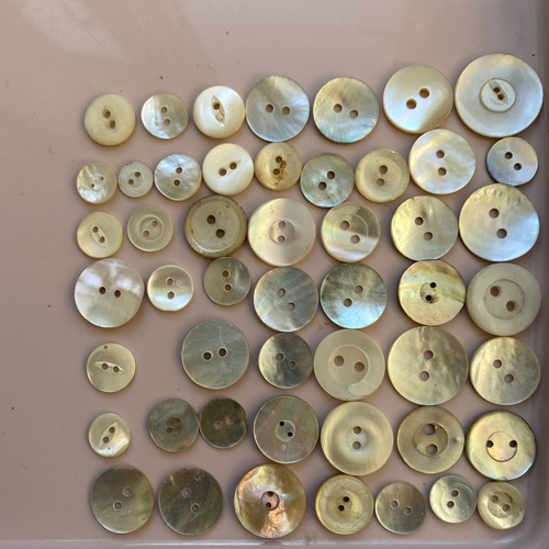 Mother pearl buttons - 50, of