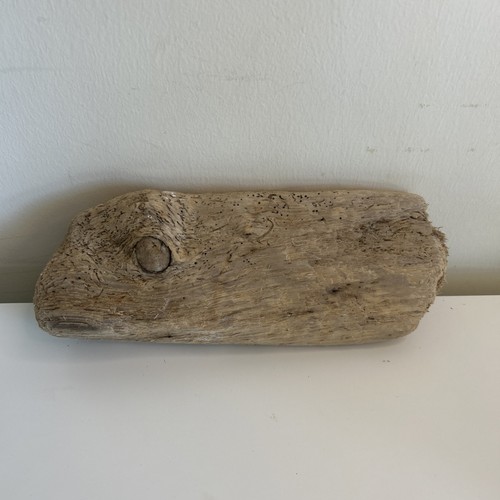 Unique driftwood piece - driftwood,