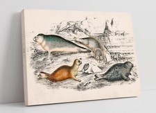 OLIVER GOLDSMITH, COLLECTION OF SEALS -CANVAS WALL ARTWORK PICTURE PRINT