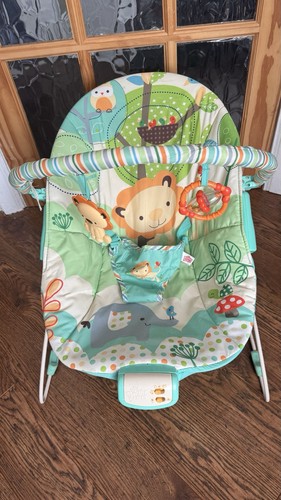 Bright starts safari baby - bright,