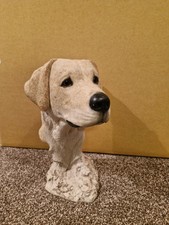 Sherratt simpson labrador - simpson,