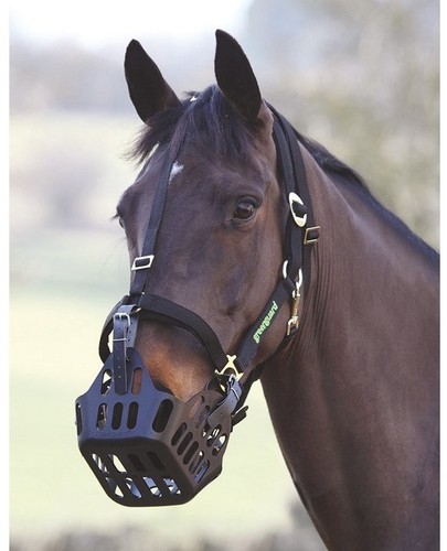 Shires greenguard muzzle - greenguard,