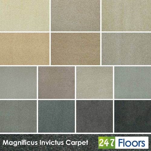 Magnificus invictus carpet - invictus,