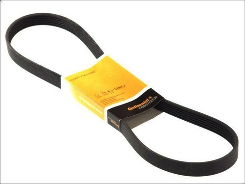 Ribbed bel contitech 6pk691 - bel,