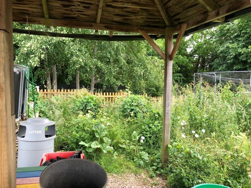 Garden clearance fast - ✨,