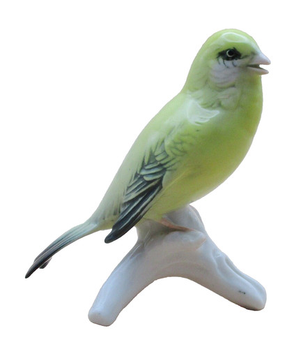Karl ens canary - karl, model