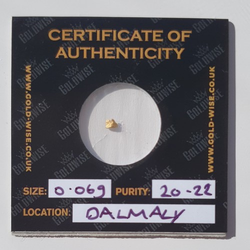 Goldwise gold nugget 069g - goldwise,
