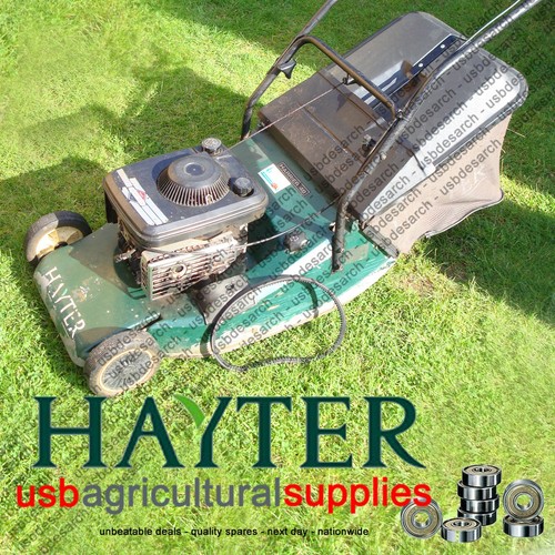 Hayter harrier drive belt - hayter, 48