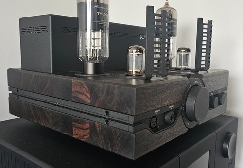 Feliks audio envy 300b - envy,