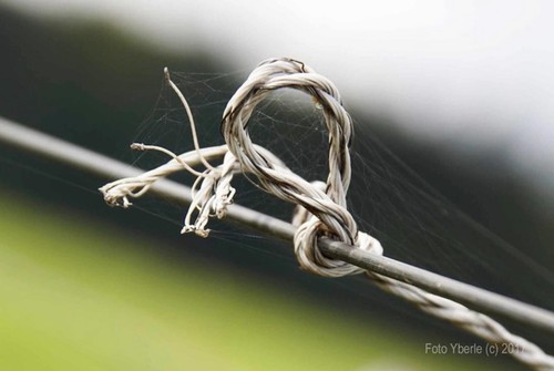 Sony macro lens - sony,