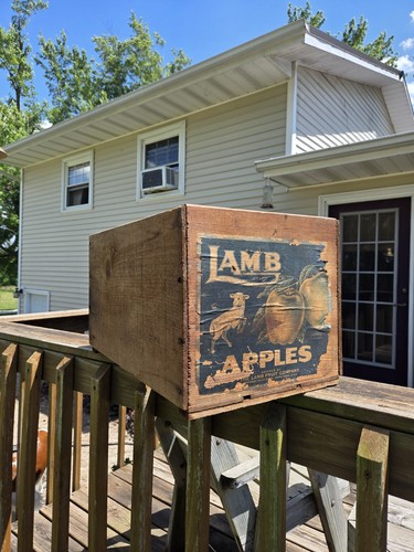 Lamb apples wooden - apples,