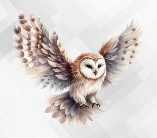 Barn owl wall - owl, vinyl