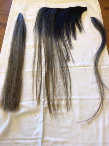 Large mane tail - on, the