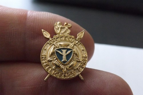 South africa military badge - south,