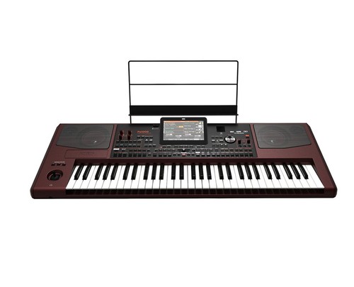 Korg pa1000 key pro - 61-key,