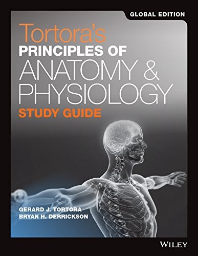 Tortoras principles anatomy - tortoras, of