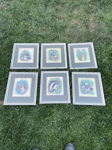 Sharon jervis framed wildlife - jervis,