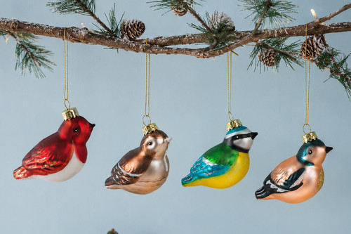 Sass belle british bird - sass,