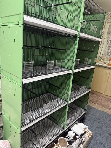 Bird breeding cages - bird,