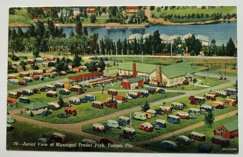 Postcard tampa florida - postcard,