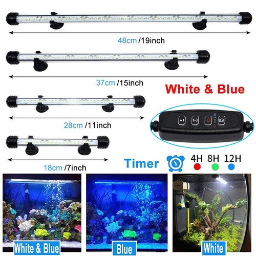 Led aquarium fish - fish, tank