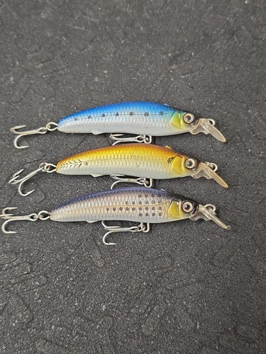 Zuri livebait minnow - livebait,