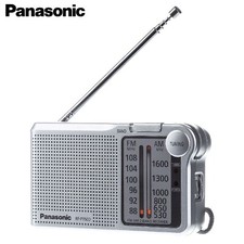 Panasonic RFP150DEG-S Portable