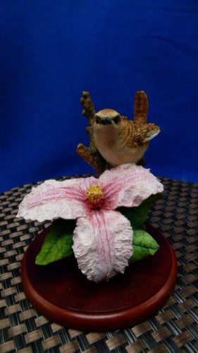 Border fine arts wren - arts,,