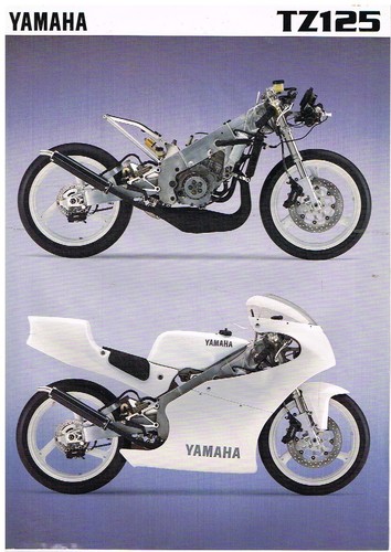 Yamaha tz125 road racer - yamaha,