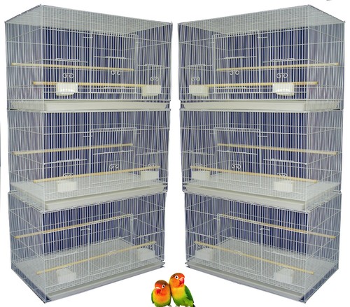 Lot aviary canaries - 6,