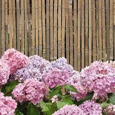 Bamboo Slat Screening Roll